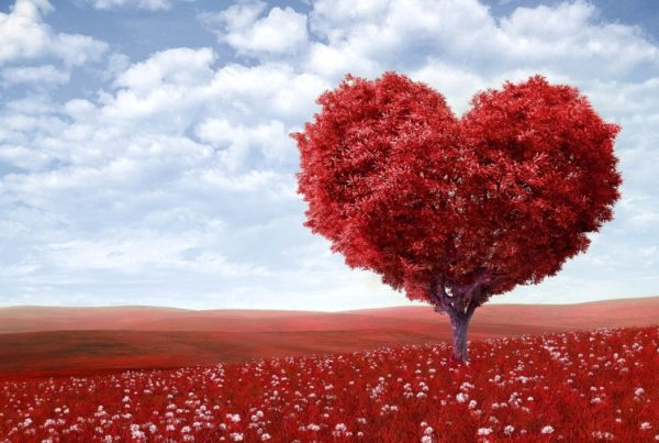 heart marketing business success